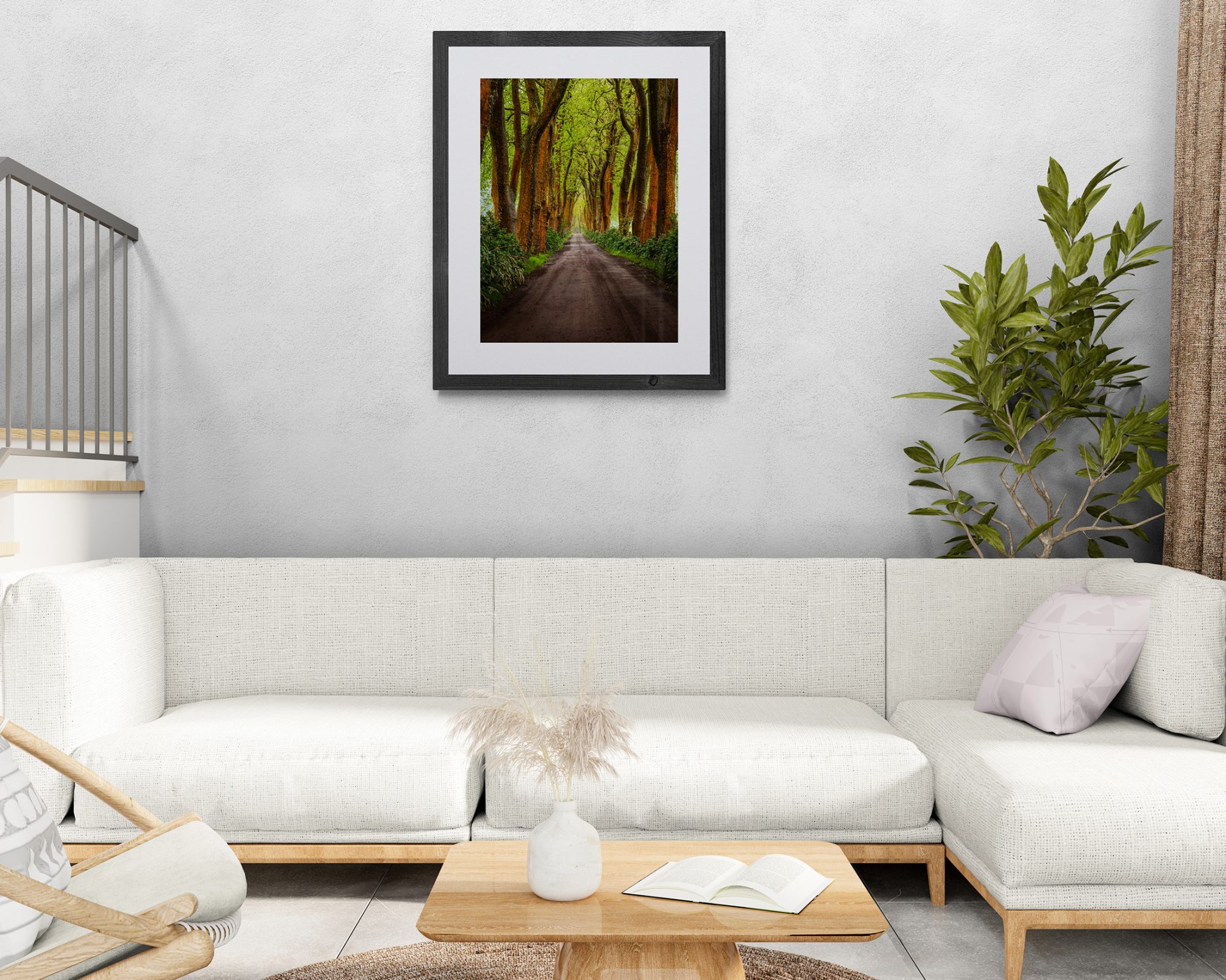 living-room-with-sofa-and-leafy-plant-(2)