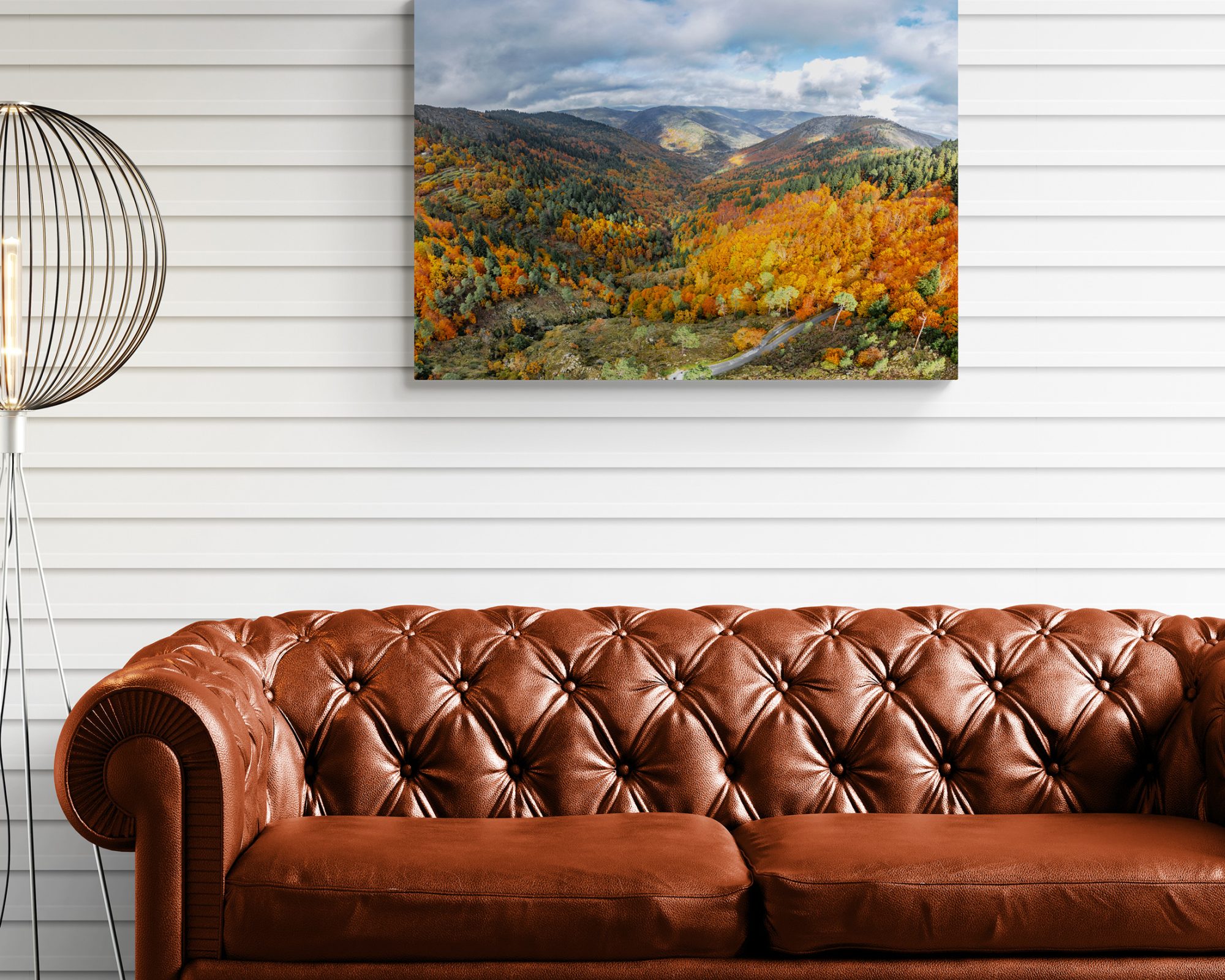 lounge-with-leather-sofa-and-modern-lamp