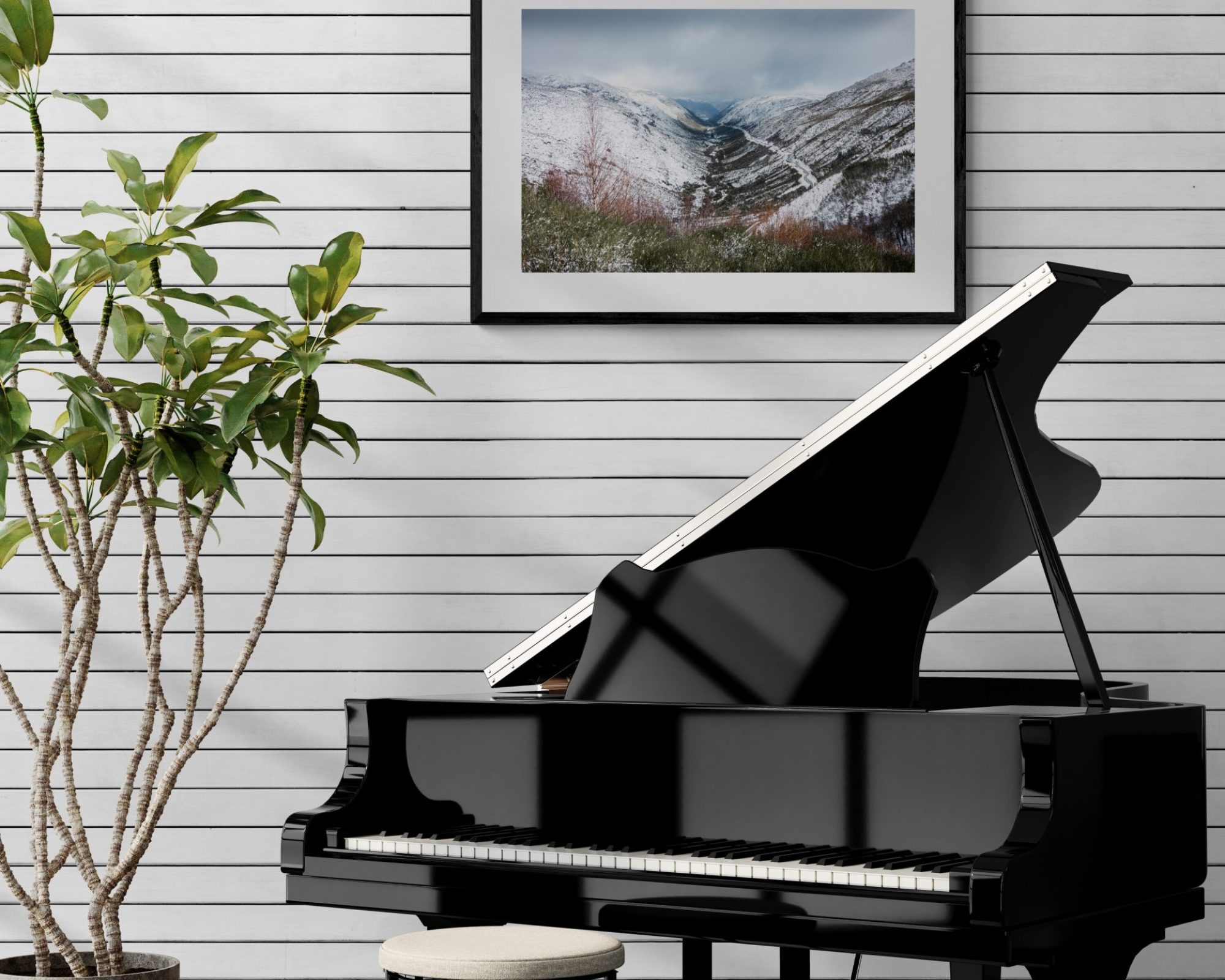 room-with-grand-piano-and-large-plant