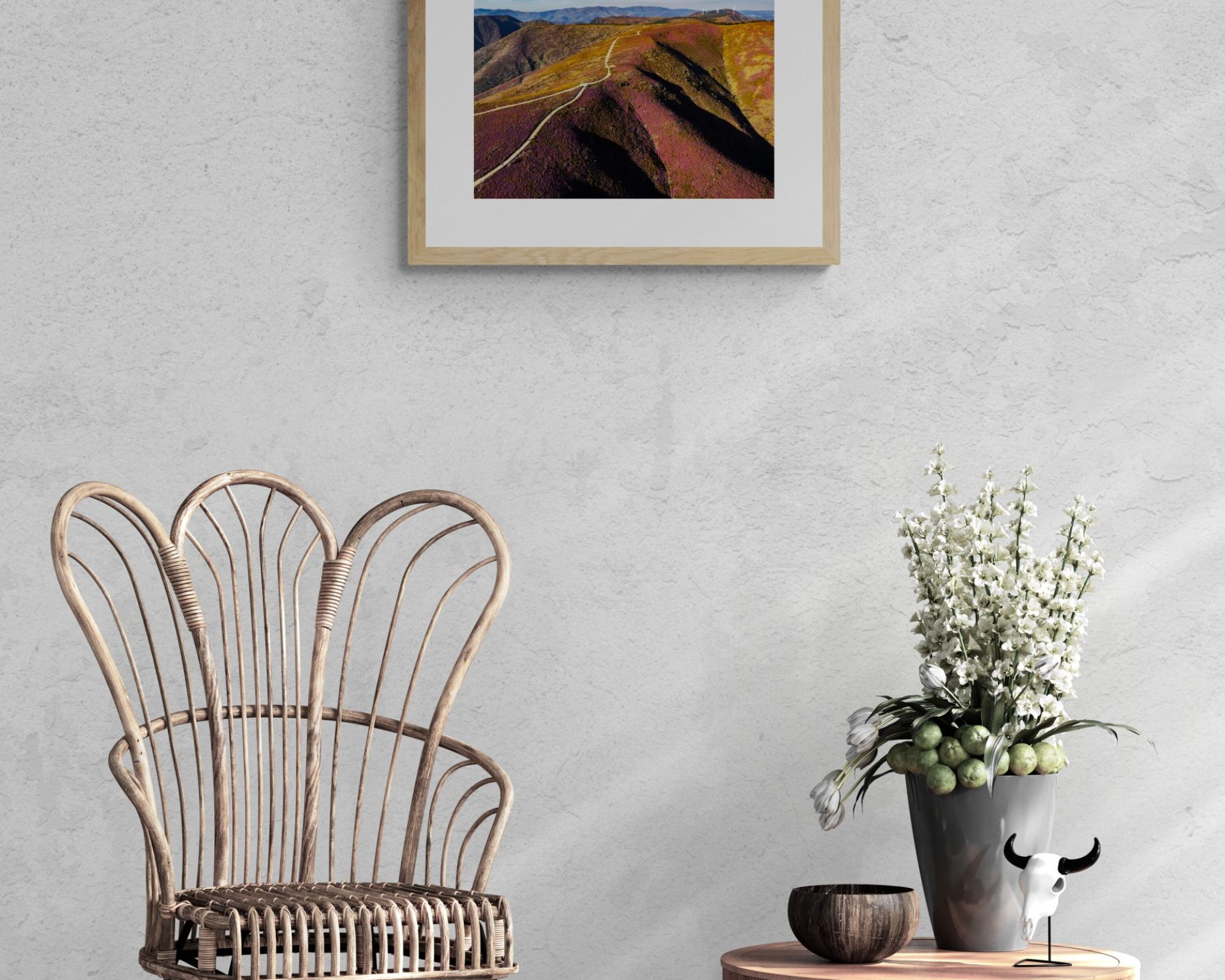 sunlit-room-with-rattan-chair